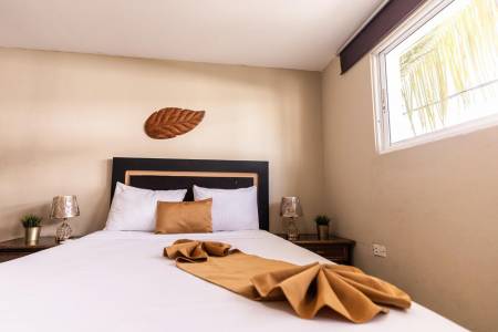 Hostal Las Rosas de Punta Cana13