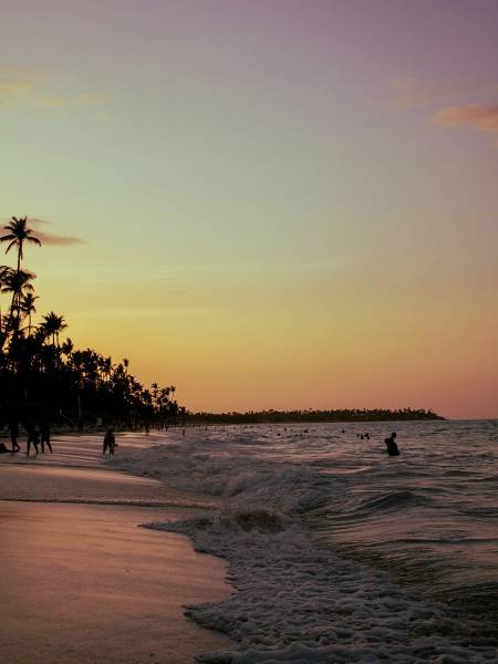 Hostal Las Rosas de Punta Cana1