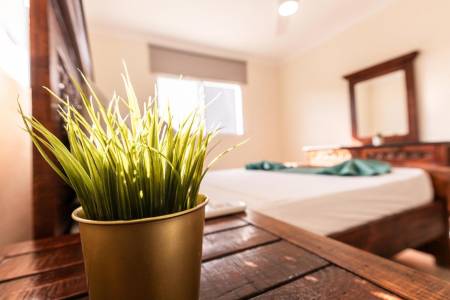 Hostal Las Rosas de Punta Cana58