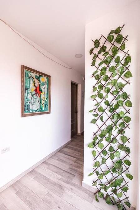 Hostal Las Rosas de Punta Cana65