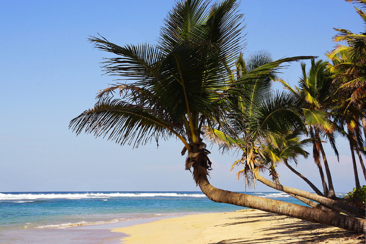 hostallasrosasdepuntacana